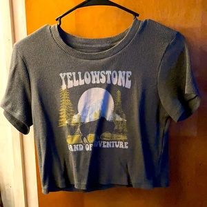 Yellowstone crop top